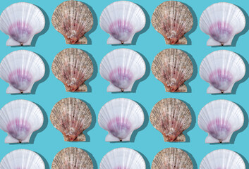 Creative seashell background. Hard light. Blue background. Minimal summer concept.