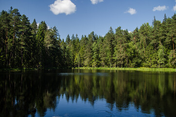 Beautiful Sapnu (Dreams) lake in sunny summer evening, Talsi, Latvia.