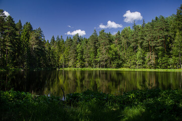 Beautiful Sapnu (Dreams) lake in sunny summer evening, Talsi, Latvia.