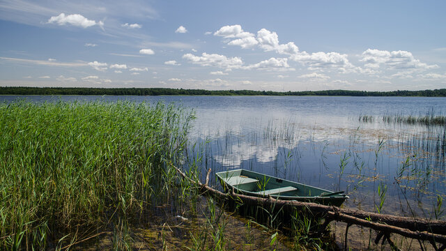 Reeds along the shore of Busnieks lake and boat in Ventspils, Latvia. © Bargais