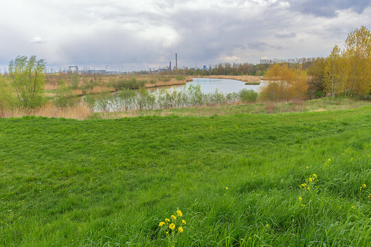 View of the Kruibeke creek with the Hoboken industry in the background
