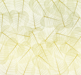 Naklejka na ściany i meble a leaf texture close up on a white background