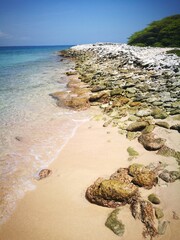 Photograph of a coral stone savanna on the shore of the beach on an island in Venezuela.