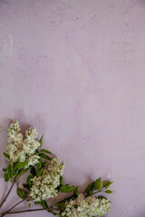 Texture background with bright flowers of lilac for the cover of the notebook diary or congratulations on the woman's holiday