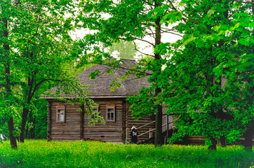 A log house was built in the forest. Tall trees surround it. The windows are decorated with carved frames.