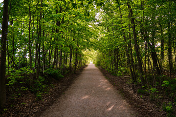 Fototapeta premium Walking trail in Ontario Simcoe County Innisfil