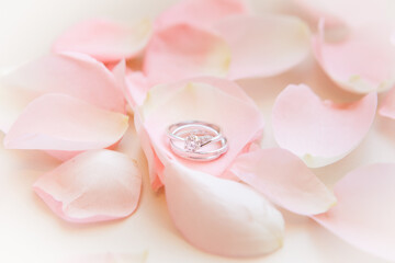A pair of silver wedding diamond rings are placed in a pile of pink rose petals