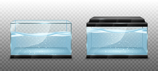 Realistic transparent aquarium with water inside. Vector illustration isolated on transparent background - 435656963