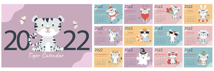 Template for the annual calendar 2022. set of 12 pages and a cover with a cute white tiger. Week starts on Sunday. Year of the Tiger according to the Chinese calendar. Vector illustration