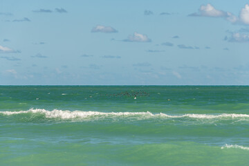 surfing the waves