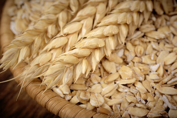 Healthy food. Whole grain Oats and cereal spikelets
