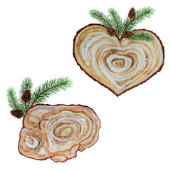 Watercolor illustration with two wood slices.