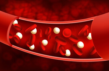 Vector illustration of red blood cells inside an artery or vein