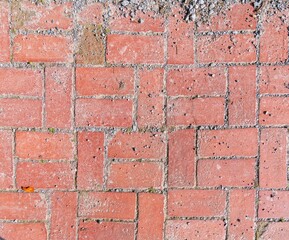 Obraz premium old brick wall