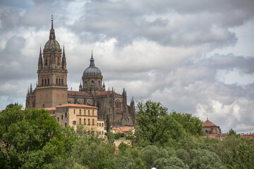 Majestic view at the gothic building at the Salamanca cathedral, towers and domes, surrounding vegetation