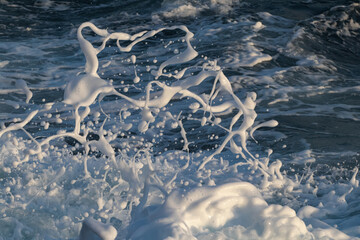 lush sea foam near the coast.