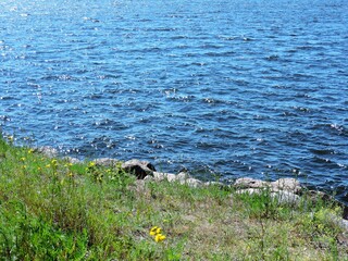 Grass and Baltic sea in Kotka, Finland