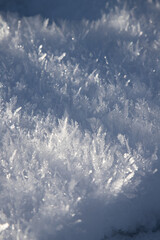 Schnee, Kristalle, makro