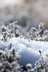 Schnee, Kristalle, makro