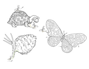 line art, maze, coloring book, butterfly, turtle, bump, ant, pine apple