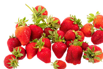 fresh natural strawberries straight from the vegetable garden on a white background