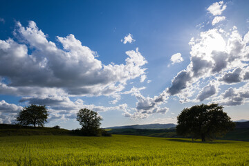 Paesaggio della Val D'Orcia