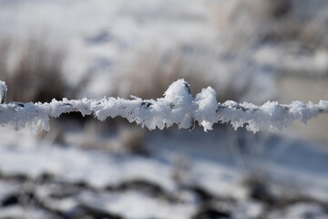 Winter, Eis, Frost, Stacheldraht, gefroren