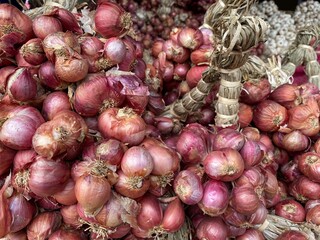 Many organic Thai shallot at local whole sale market in Sisaket, Thailand. Red bulb shallot. red onions on market