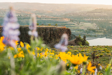 Rowena Crest in Spring time