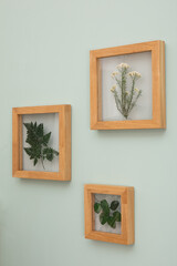 Dry flowers in a frame. walls with botanical leaves. Eco-friendly boho decor.
