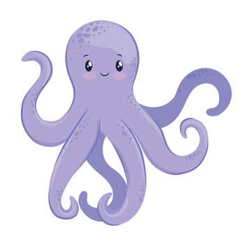 cute octopus animal