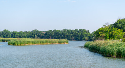 landscape with river and sky