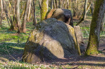 A huge rock in the woods. A stone of lies. A large boulder in the woods. A splintered boulder.