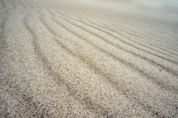 Sea sand. Sandy background. Sandy texture. Natural sea sand and river sand.