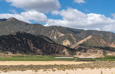 Los Padres National Forest, CA, USA - May 21, 2021: Green field agriculture near eastern entrance to park with brown mountains under blue cloudscape.