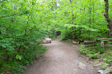 Hawk Falls Hiking Trail Poconos PA