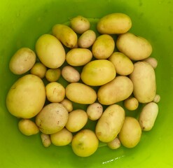 pomme de terre nouvelle du jardin ,isolé