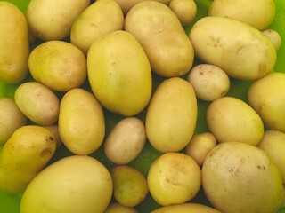 pomme de terre nouvelle du jardin ,isolé