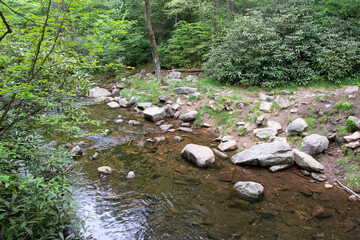 Hawk Falls Hiking Trail Poconos PA