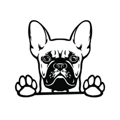 French bulldog head. Vector Cliipart. bulldog with glasses with paws