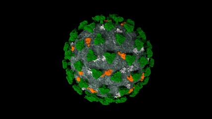Coronavirus or covid-19 in microscopic view of floating influenza virus cells as dangerous flu strain cases as a pandemic medical health risk concept in black background. 3D rendering.