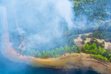 Forest fire burned trees after wildfire, pollution a lot of smoke