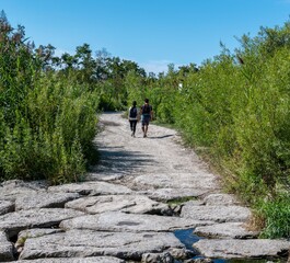 walking in the woods
