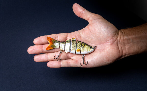 Artificial articulated fishing lure held by the hand of a dark man. Similar to a lambari of the genus Astyanax, of the family Characidae, common in rivers, ponds, streams and dams in Brazil.