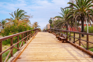 Wooden walkway, with benches and surrounded by trees and palm trees, on Gandia beach.