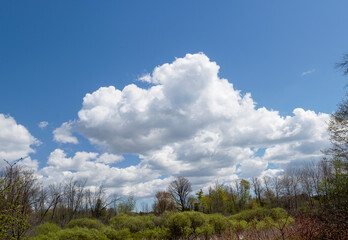 Obraz premium Panorama of the spring sky