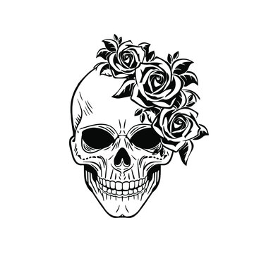 Skull half with roses. Vector illustration