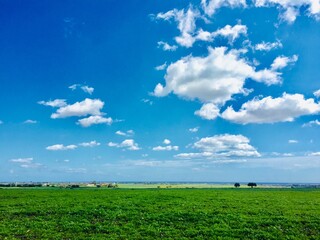 field and blue sky