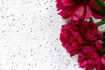 Bouquet of red peony flowers on a white cement table.Holiday concept,8 march,mothers day.Top view,Place for text