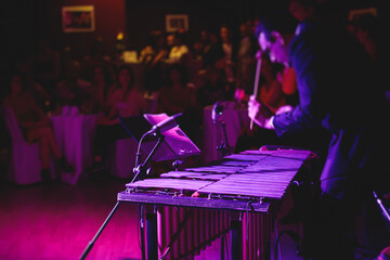 Xylophone concert view of vibraphone marimba player, mallets drum sticks, with a latin orchestra...